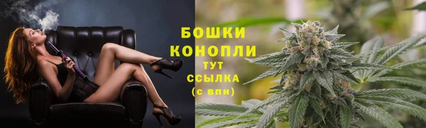 ешки Алзамай