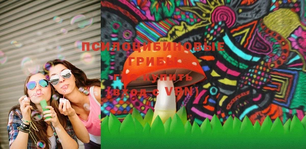 PSILOCYBIN Алексеевка