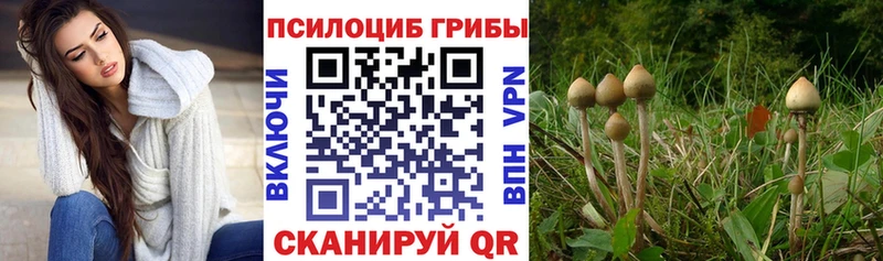 Галлюциногенные грибы Magic Shrooms  Сарапул 